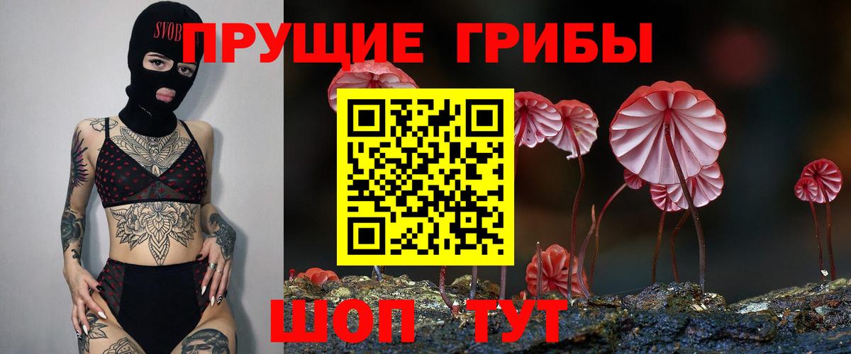 Галлюциногенные грибы Magic Shrooms  Псилоцибиновые грибы мицелий  Миллерово  Вход с VPN 