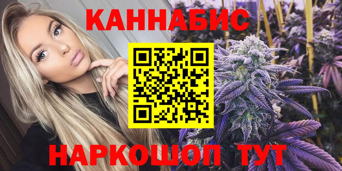Каннабис план Миллерово